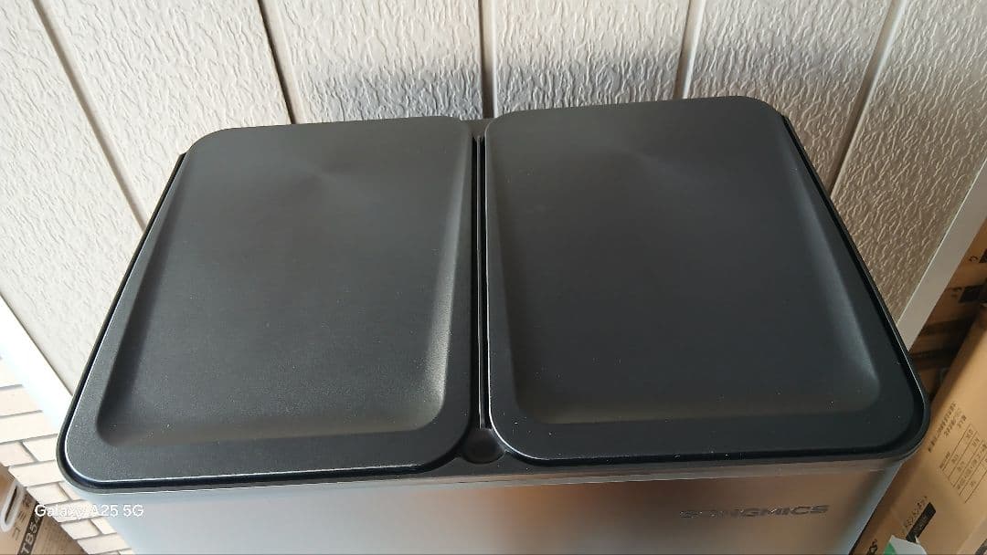 ゴミ箱 分別 2x30L ふた付きダストボックス キッチン用 ペダル式 ブラック