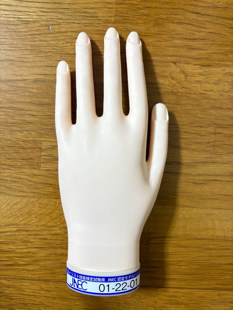 ネイルアート用手モデル2個とシールセット