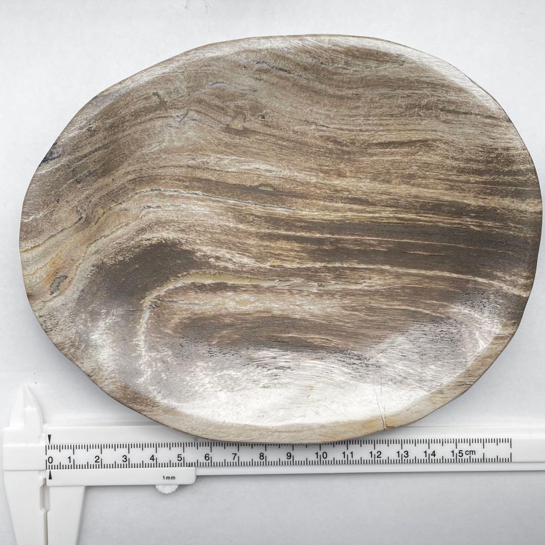 珪化木 ペトリファイドウッド