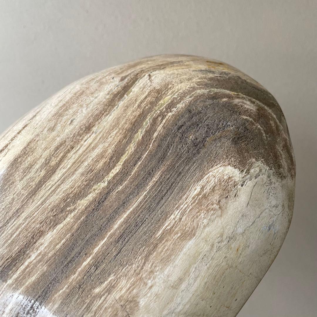 珪化木 ペトリファイドウッド