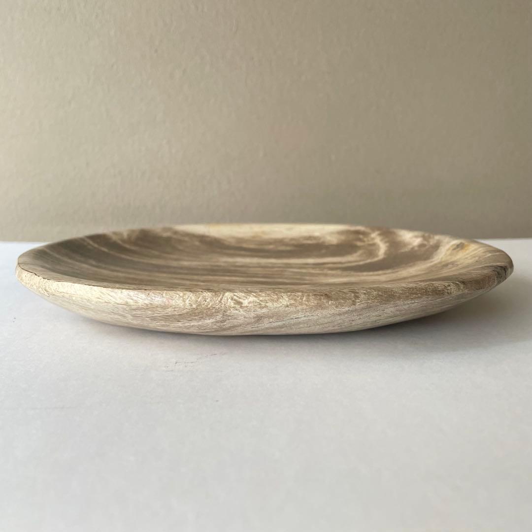 珪化木 ペトリファイドウッド