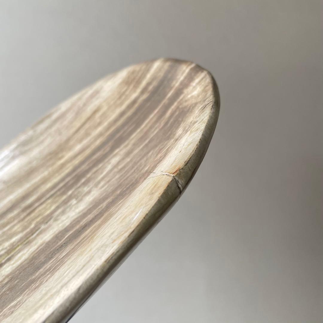 珪化木 ペトリファイドウッド