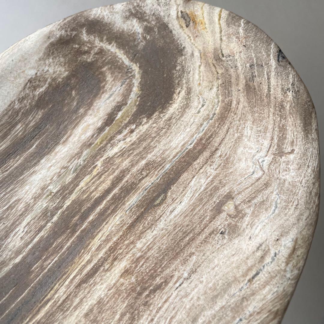 珪化木 ペトリファイドウッド