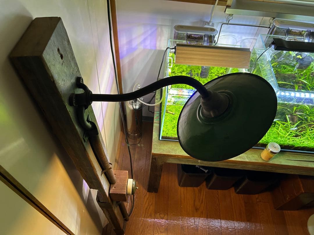 無相創 ランプ 木製・金属製