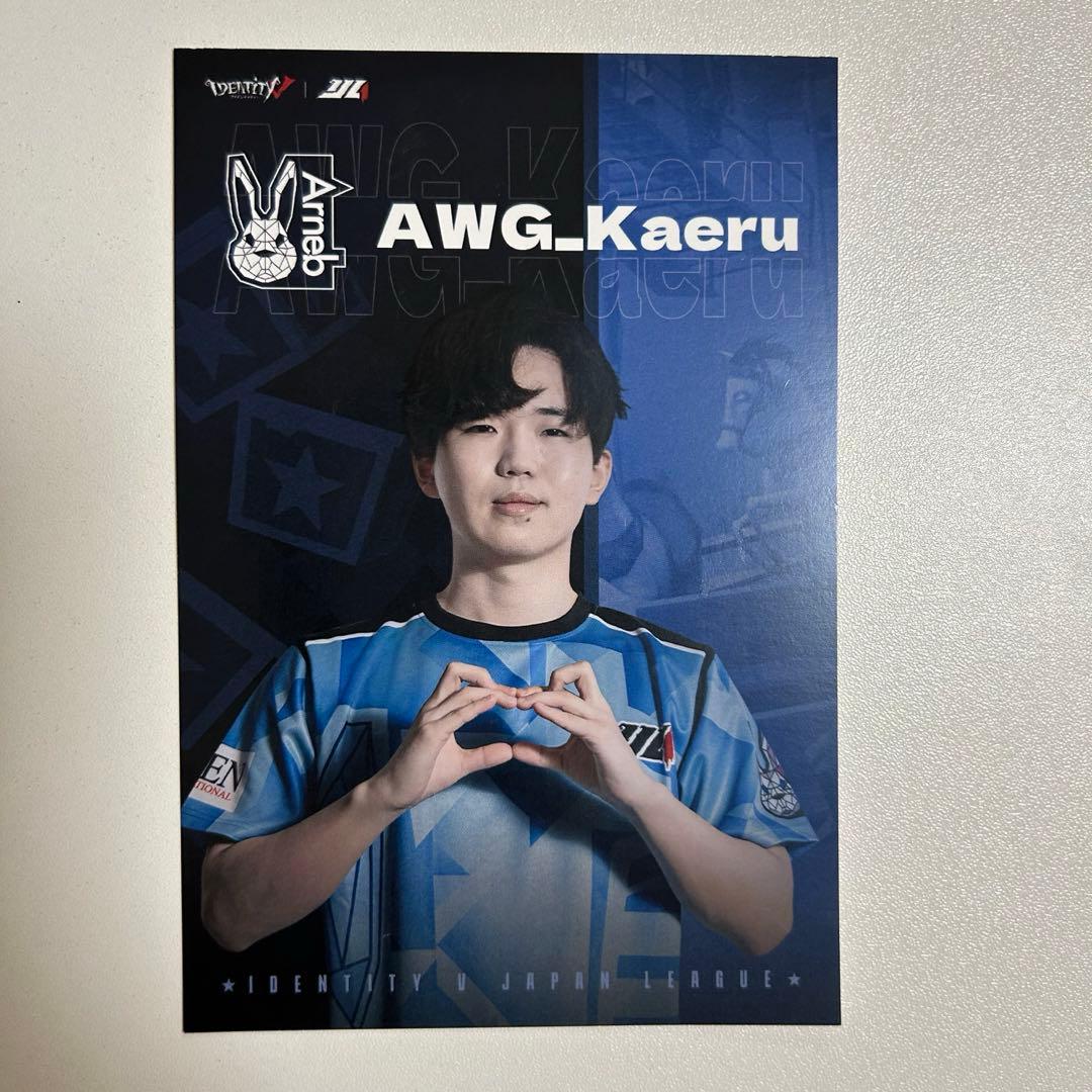 第五人格 夏季IJLオフイベ 第五人格AWG kaeru - メルカリ