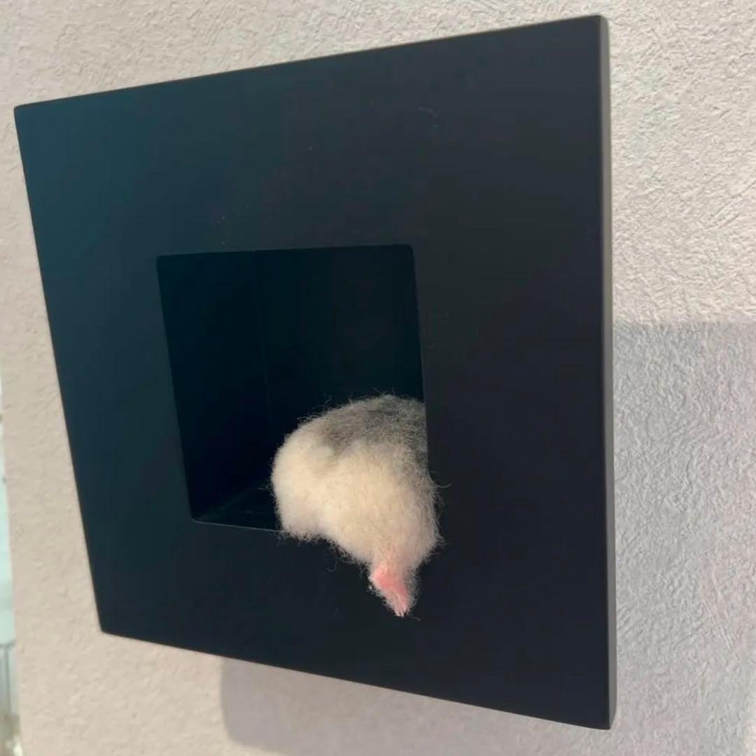 作家　羊毛フェルト　ハムスター　ハムケツ　太田光美　マスコット　アート　壁掛け