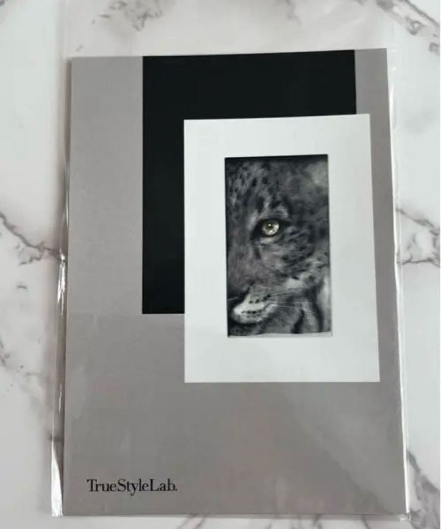 作家　羊毛フェルト　ハムスター　ハムケツ　太田光美　マスコット　アート　壁掛け