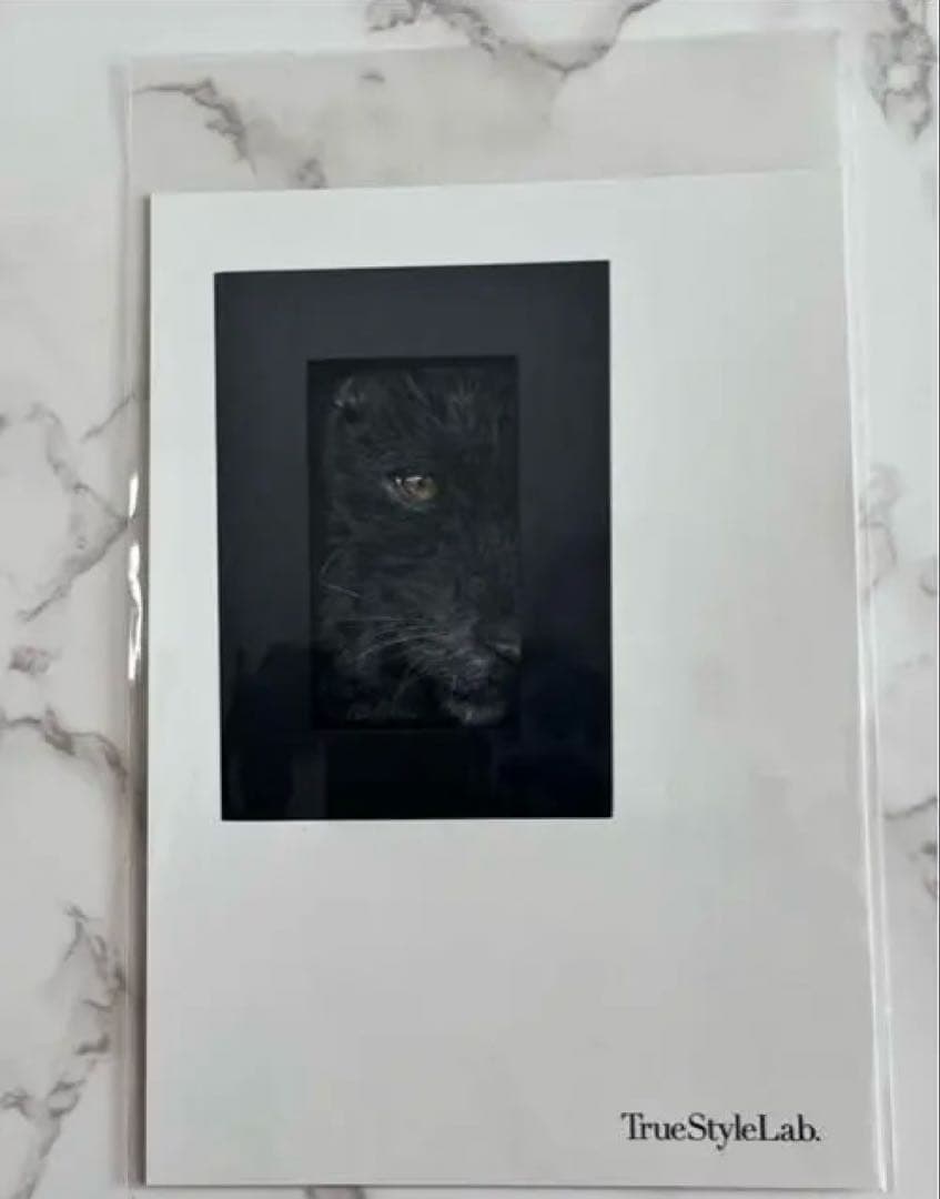 作家　羊毛フェルト　ハムスター　ハムケツ　太田光美　マスコット　アート　壁掛け