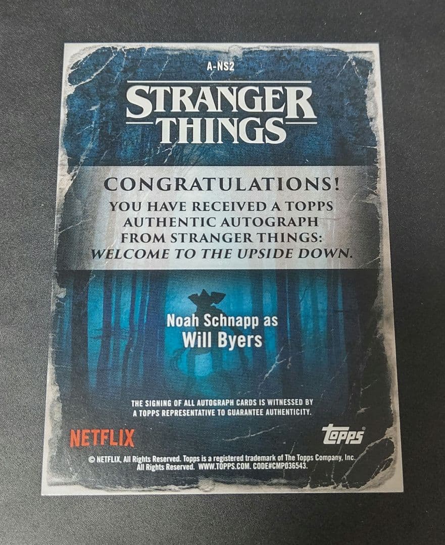 ストレンジャーシングス ウィル auto サイン カード 直筆サイン 99枚