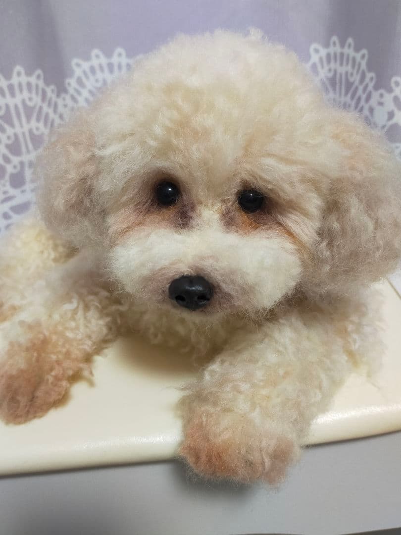 さつまイモ。羊毛フェルトオーダー。送料込み。