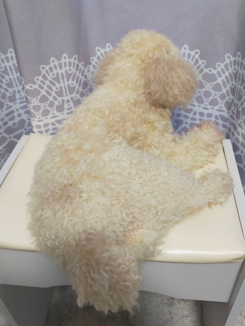 さつまイモ。羊毛フェルトオーダー。送料込み。