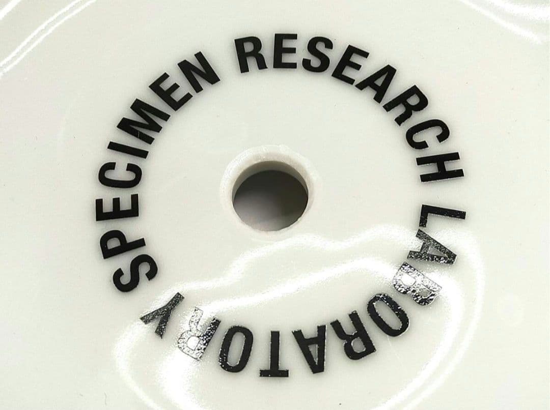 未使用保管品 ネイバーフッド プラントポット スモール ヌードルボウル型 植木鉢