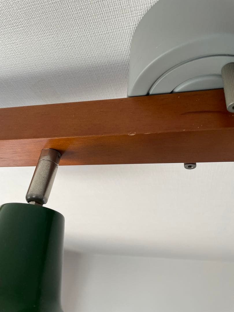 HERMOSA ハモサ スナフキン4 シーリングライト リモコン付 グリーン