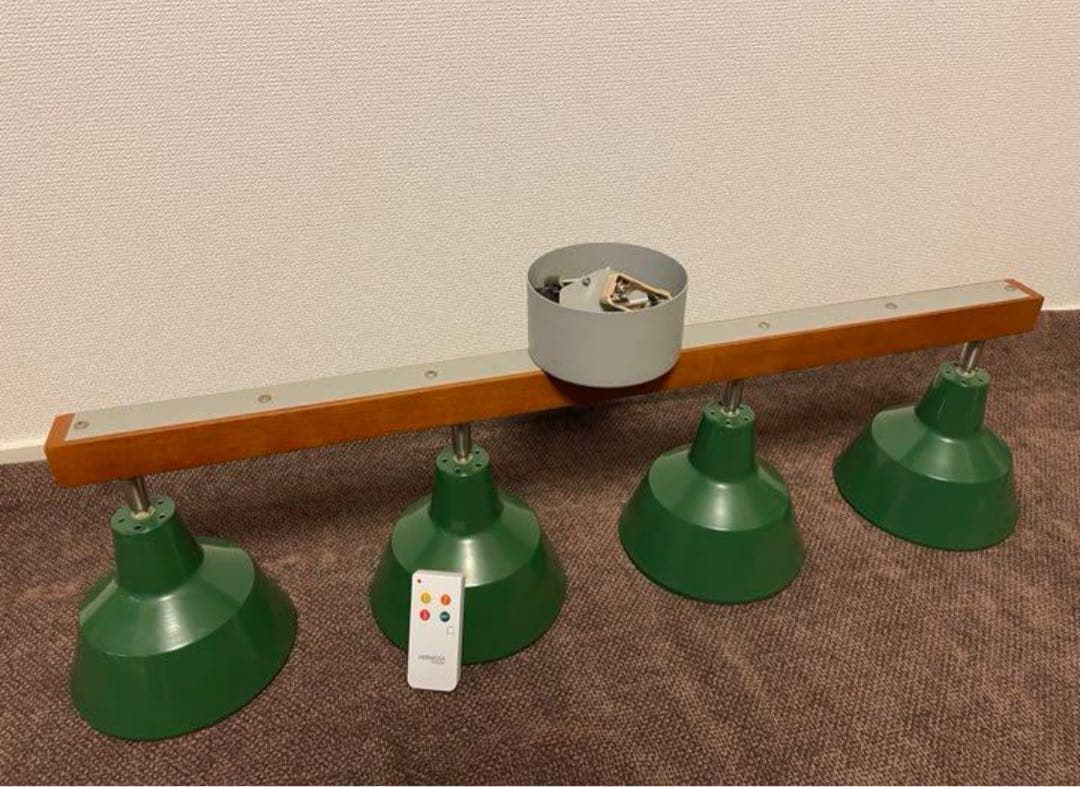 HERMOSA ハモサ スナフキン4 シーリングライト リモコン付 グリーン