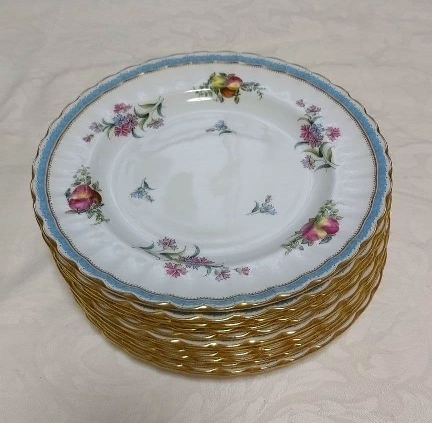 【スポード】廃盤品 中皿 12枚 トラップネルスプレイズ