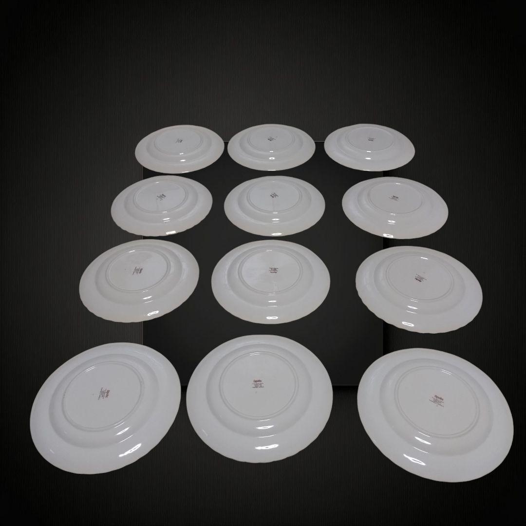 【スポード】廃盤品 中皿 12枚 トラップネルスプレイズ