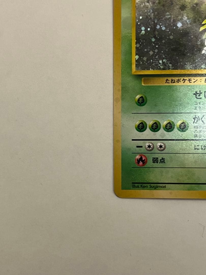 エリカのフシギバナ ☆ ジム拡張第2弾 闇からの挑戦 - メルカリ