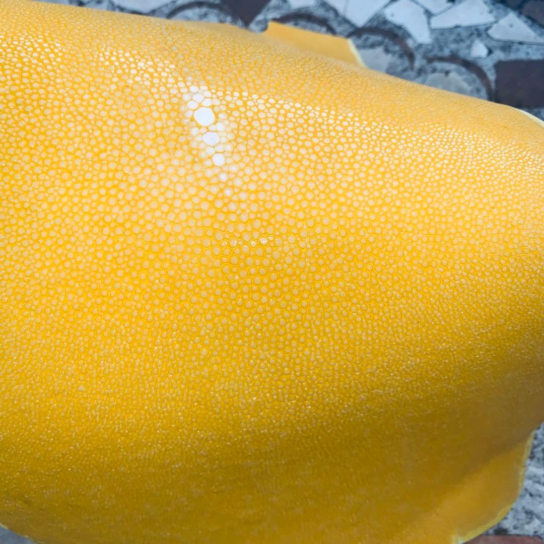 7) エイ革 鮫革 鮫皮 stingray ガルーシャ スティングレイ