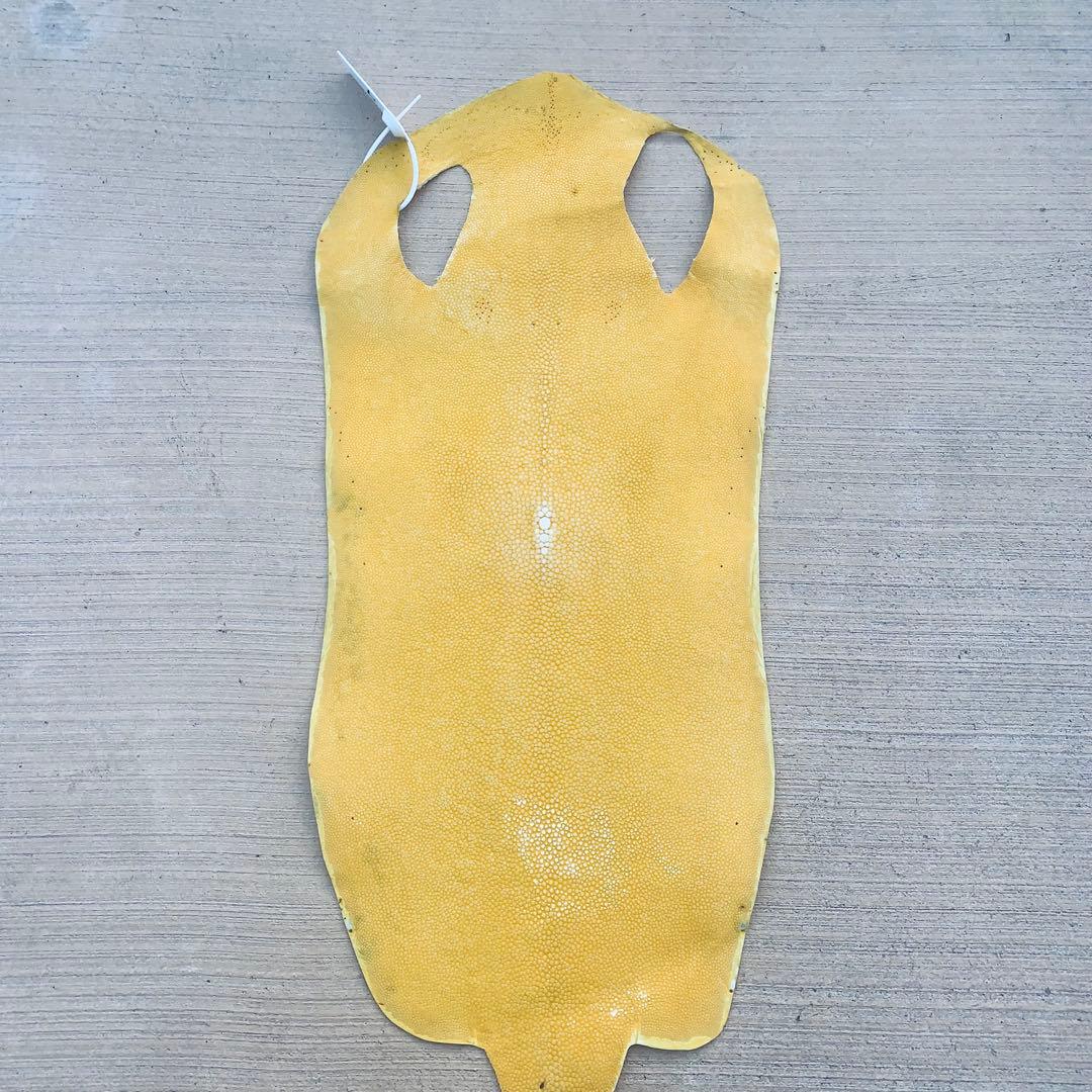 7) エイ革 鮫革 鮫皮 stingray ガルーシャ スティングレイ