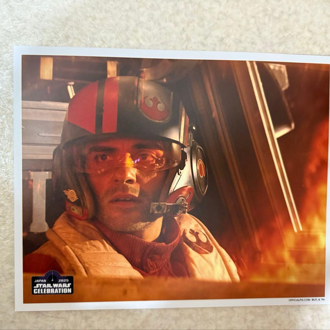 R*O様 セバスチャンスタン　バッキーバーンズ　フィギュア　東京コミコン⭐︎オマ