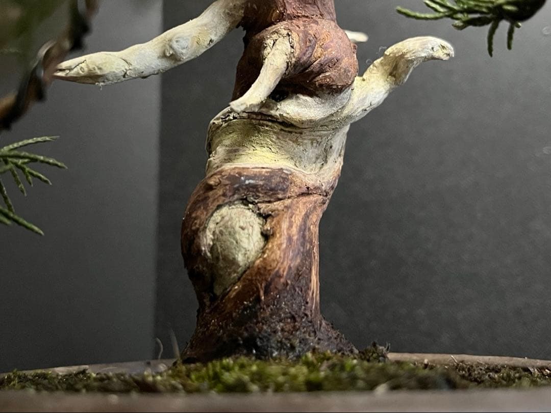 真柏盆栽 糸魚川真柏 古木 捻転シャリ 小品盆栽ミニ盆栽 樹高12cm 喜