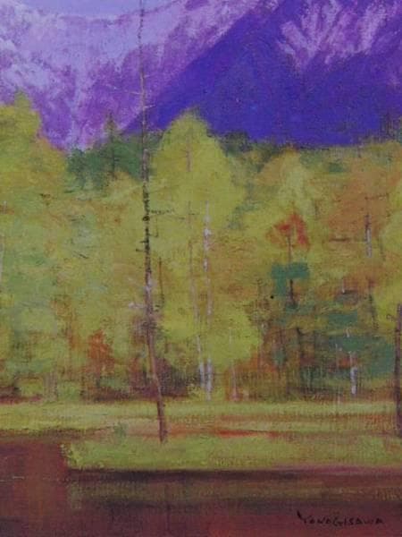 柳沢淑郎 「新緑田代池」 超希少画集より、新品額装付