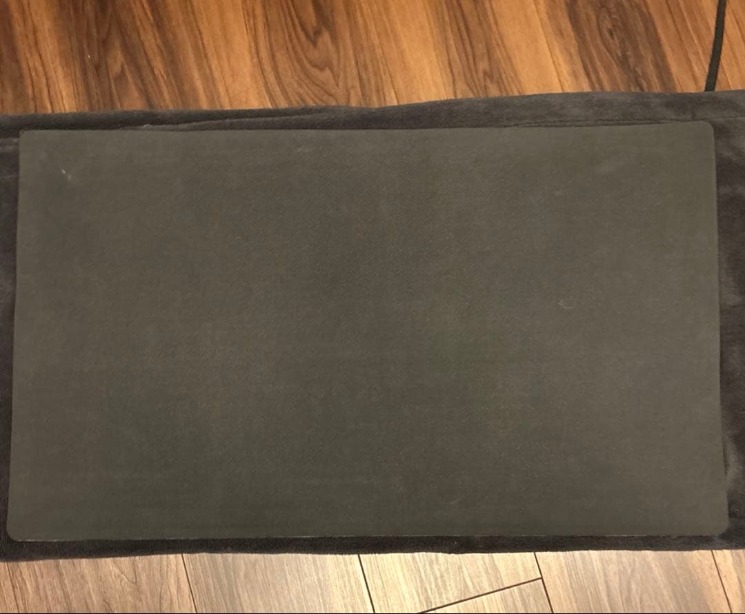 ポケモンカード サーナイト ニンフィア CHAMPION 海外 プレイマット