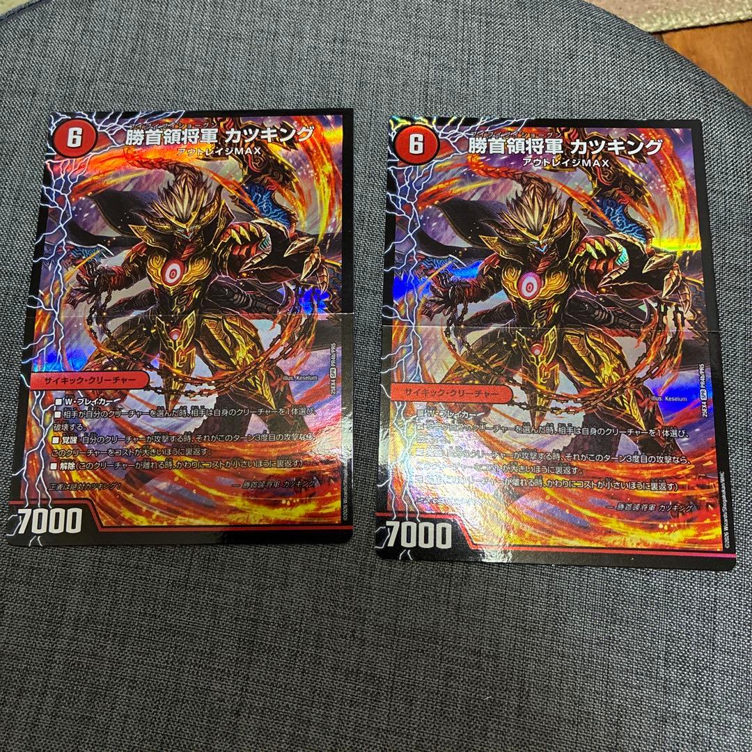 勝首領龍 カツドン 2枚セット - メルカリ
