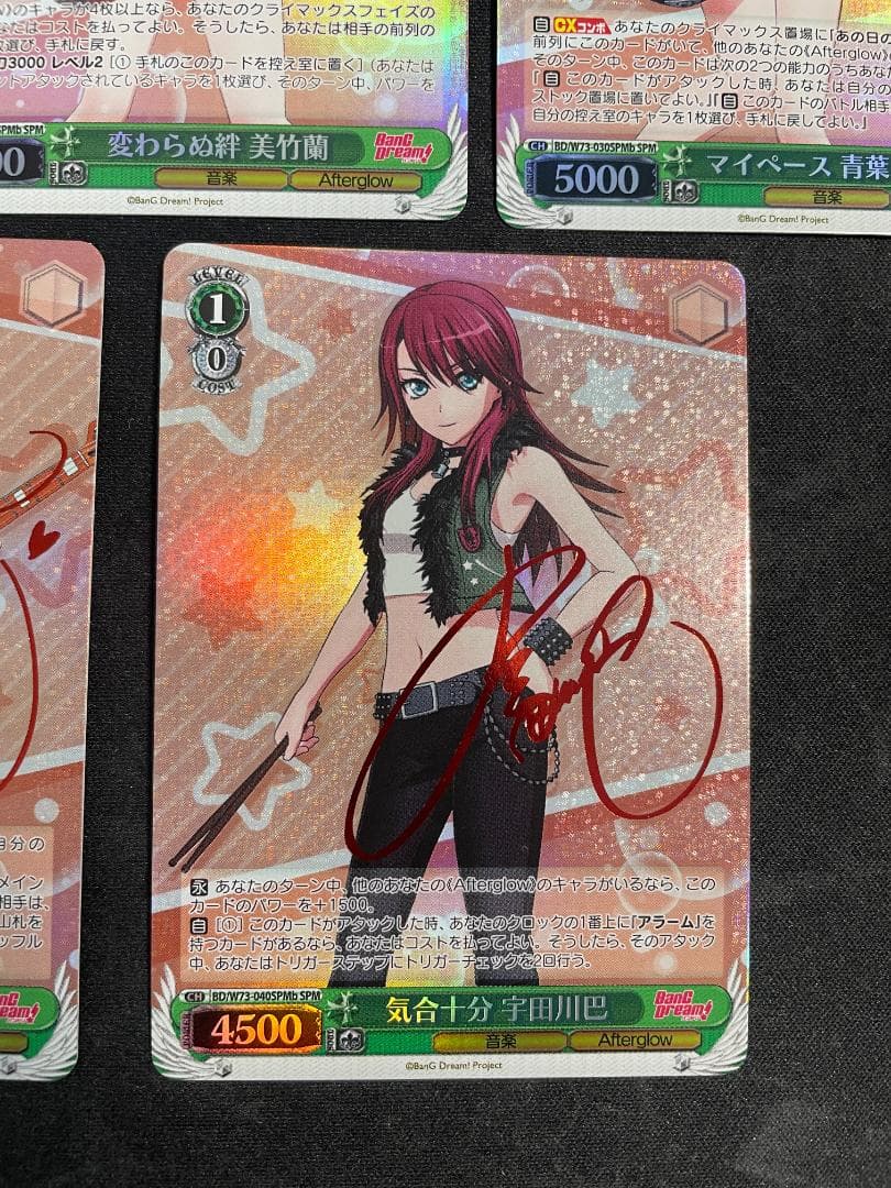 WS ヴァイス SPMb サインカード 5枚セット Aftergrow バンドリ