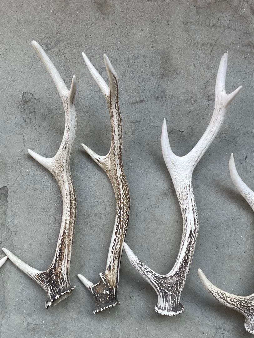 土日限定値下げ！鹿の角　9本　まとめ売り