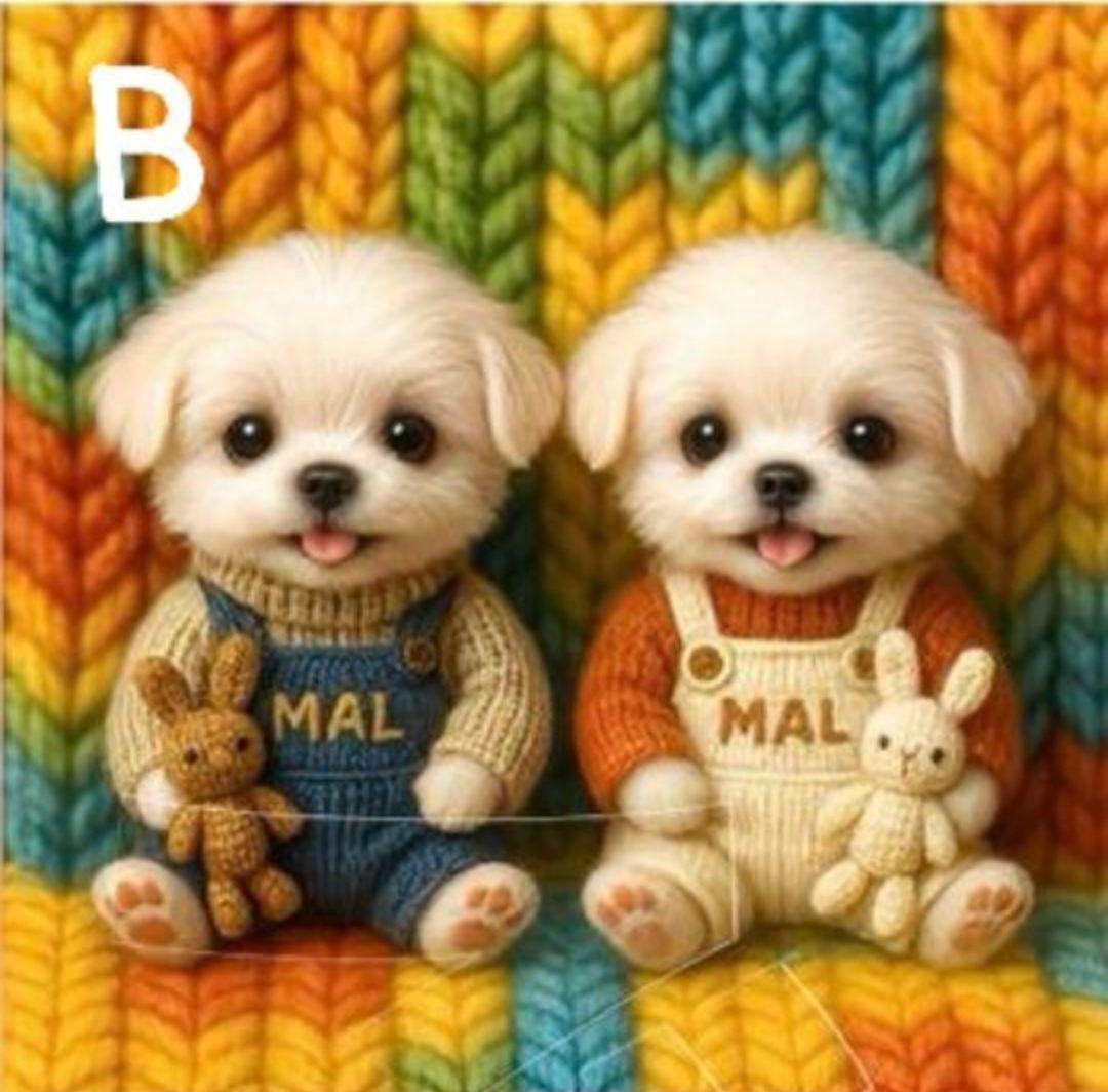 ♥むっち♥ ♡♬.*゜様　オーダーページ　8/13