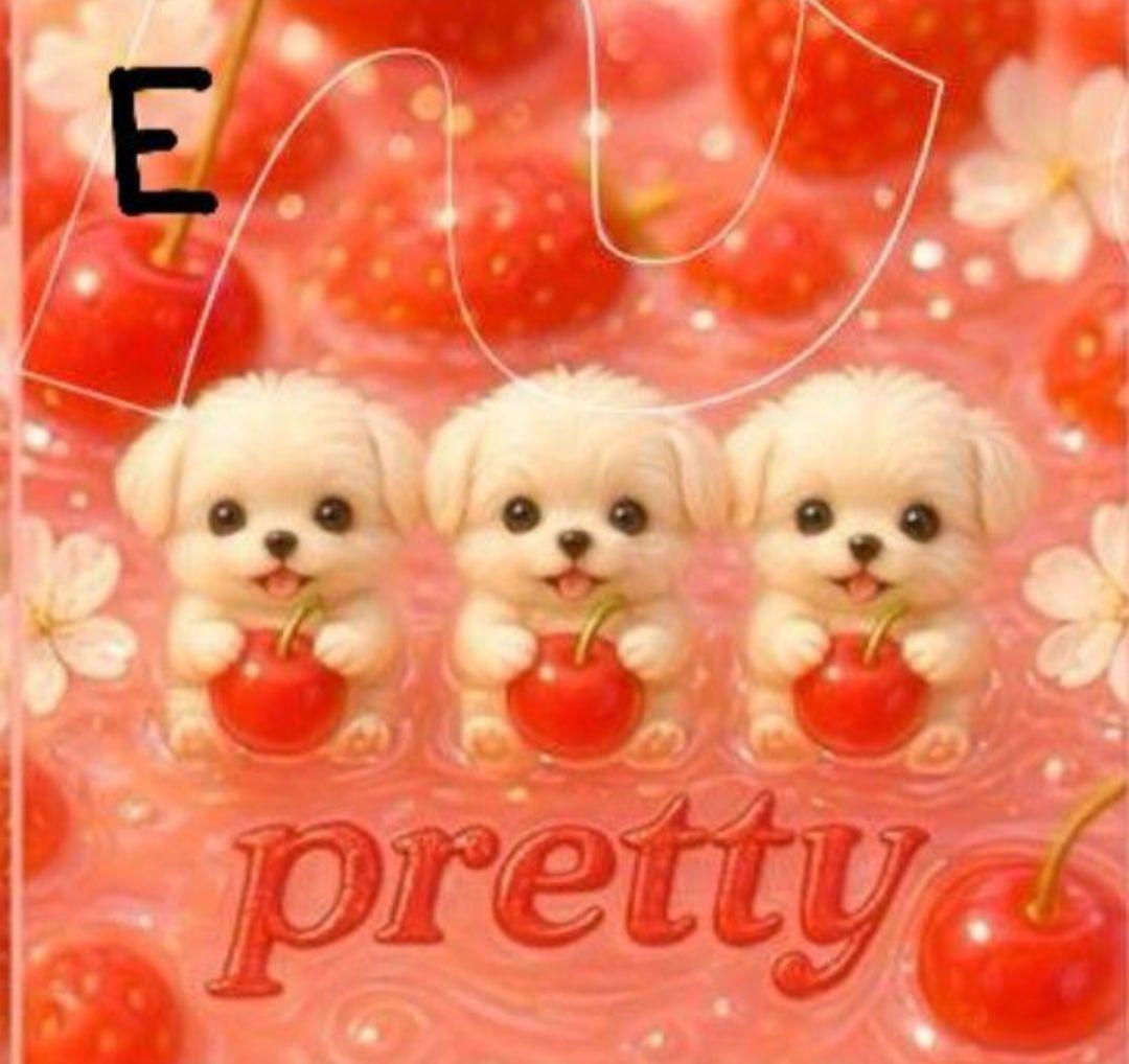 ♥むっち♥ ♡♬.*゜様　オーダーページ　8/13