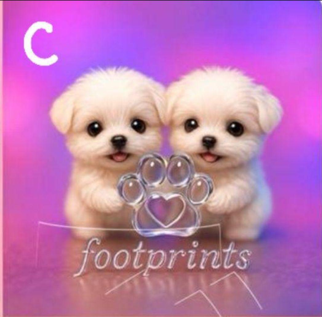 ♥むっち♥ ♡♬.*゜様　オーダーページ　8/13