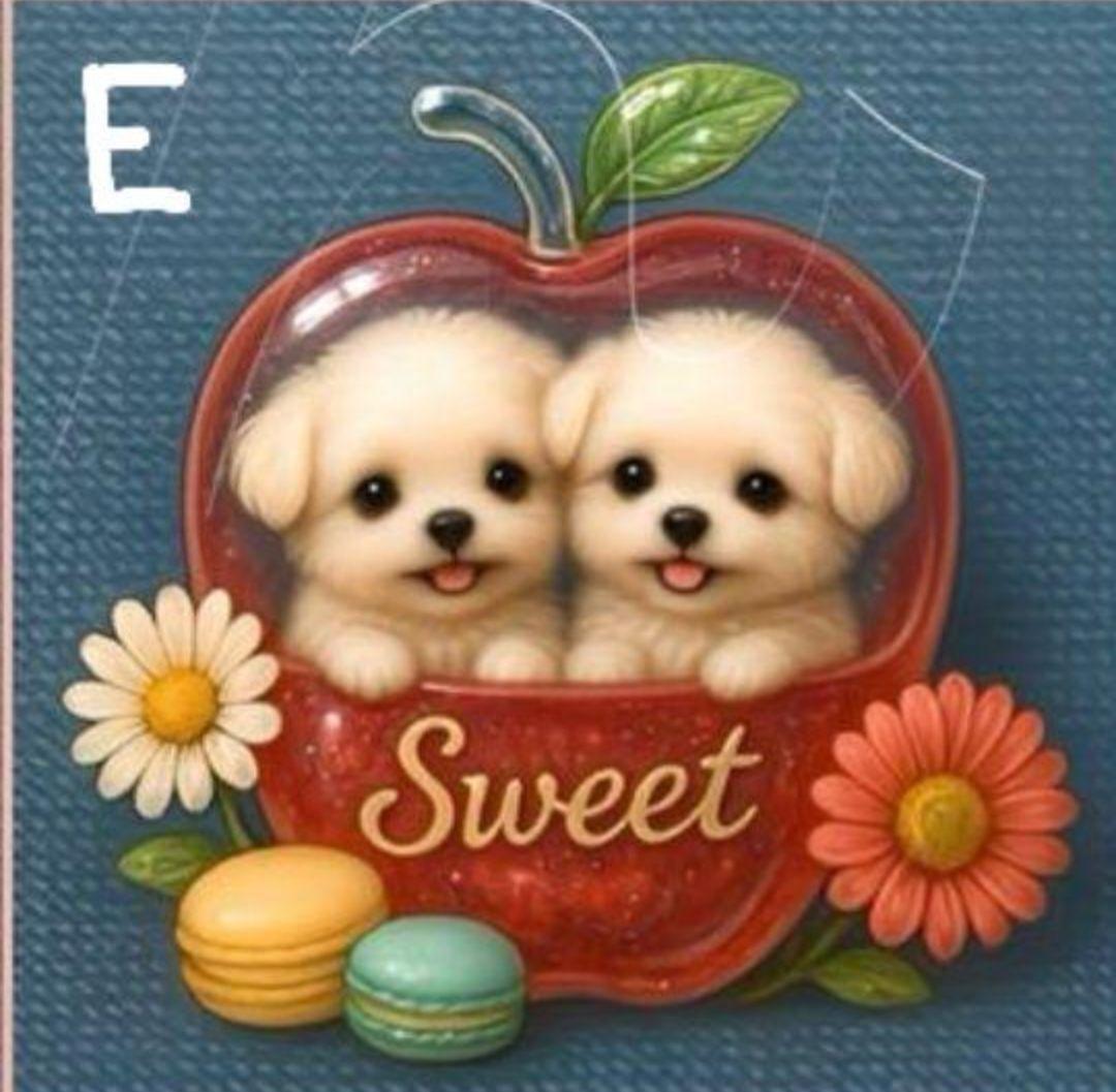 ♥むっち♥ ♡♬.*゜様　オーダーページ　8/13