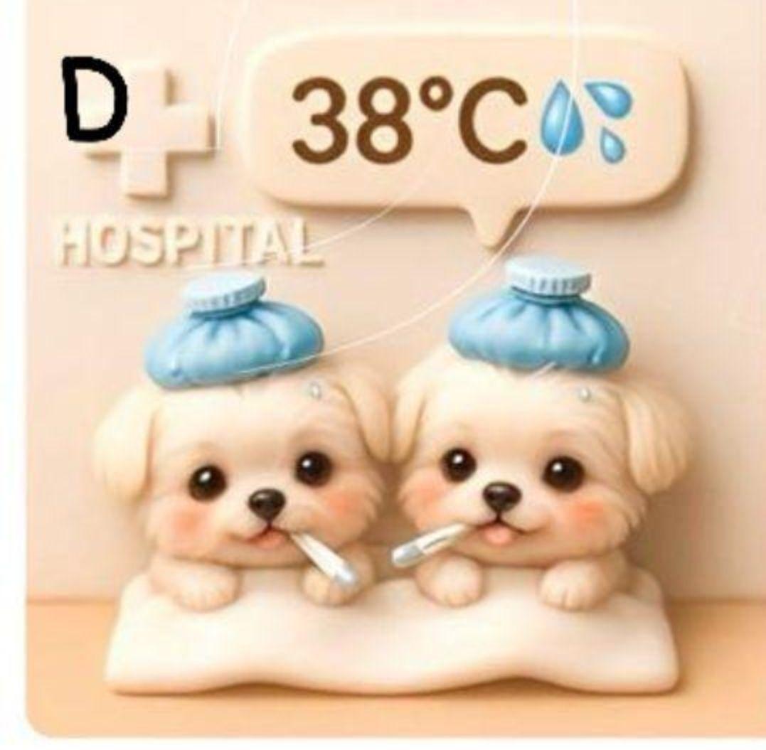 ♥むっち♥ ♡♬.*゜様　オーダーページ　8/13