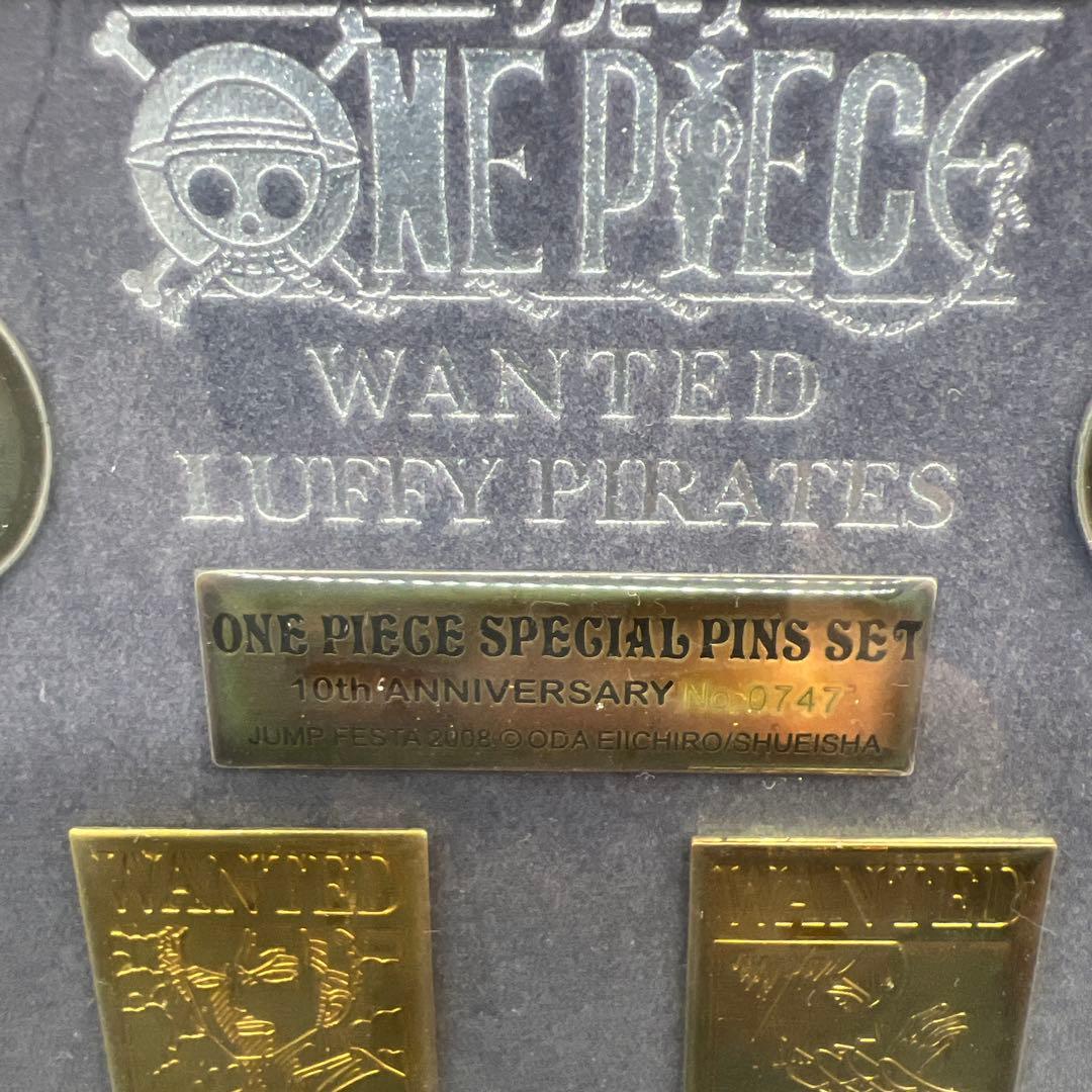 ONE PIECE ワンピース10周年記念ピンズセット 手配書 シリアル入