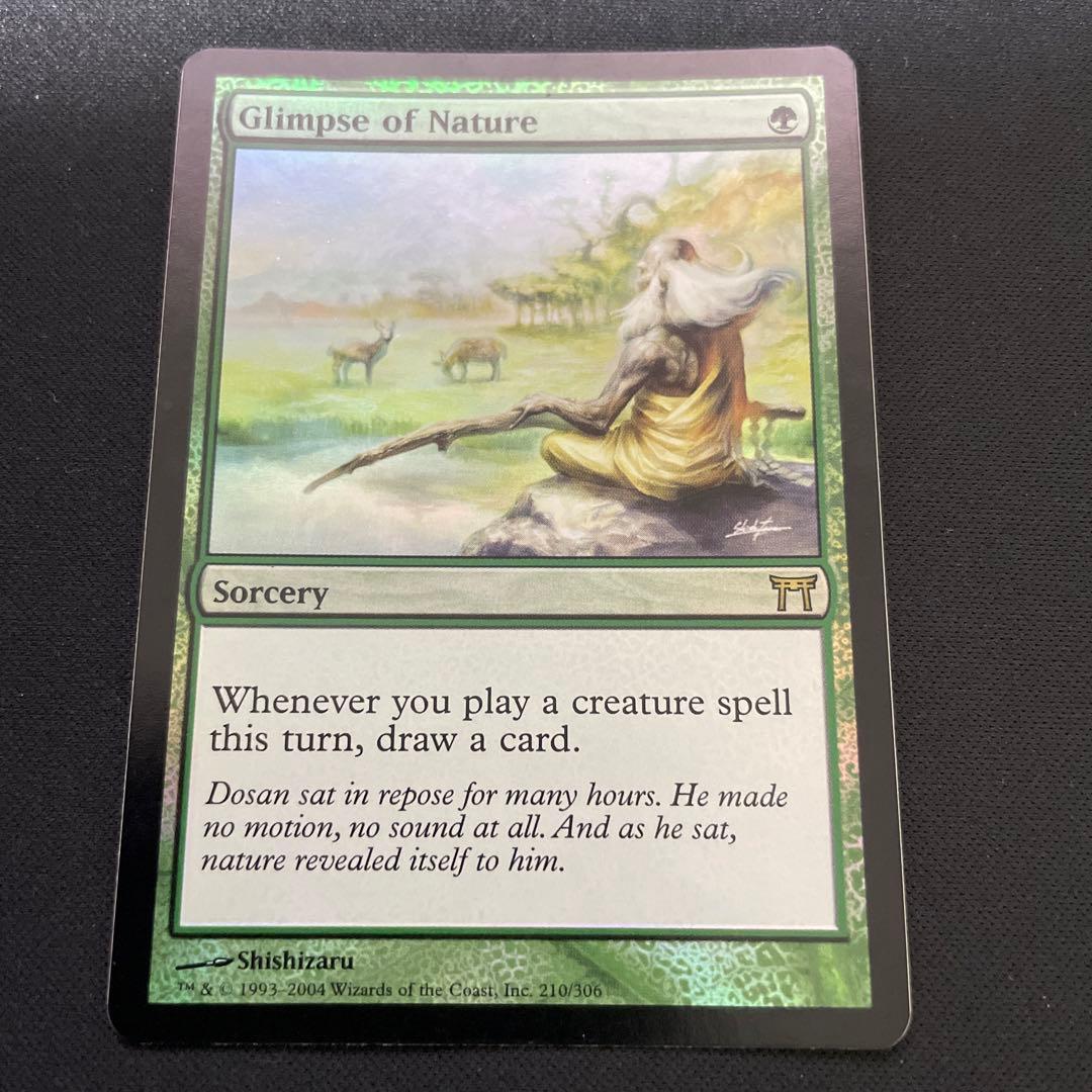 MTG 垣間見る自然 Glimpse of Nature 英語 foil - マジック：ザ