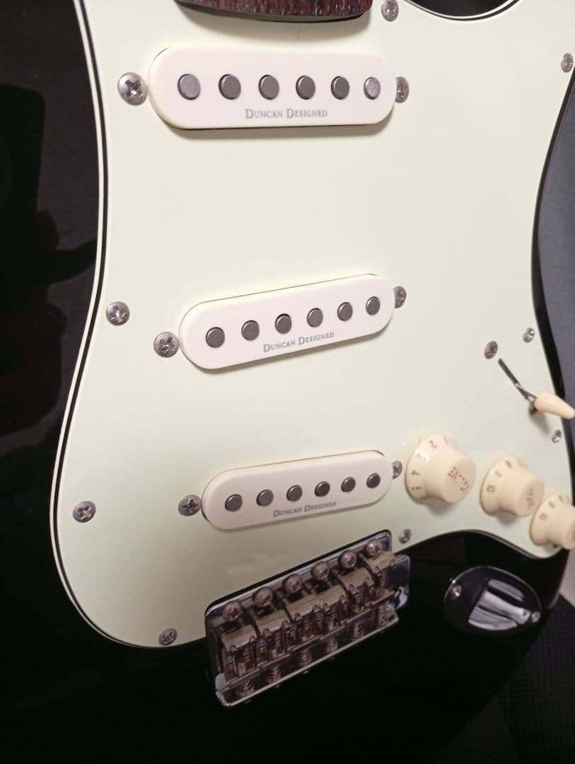 Grass Roots BLK　ダンカンピックアップ