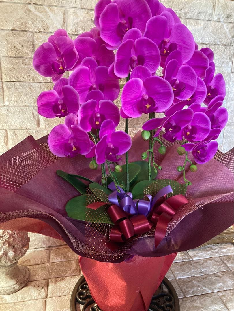 光触媒　人工観葉植物　ウォールグリーン　フェイクグリーン　胡蝶蘭リアル't