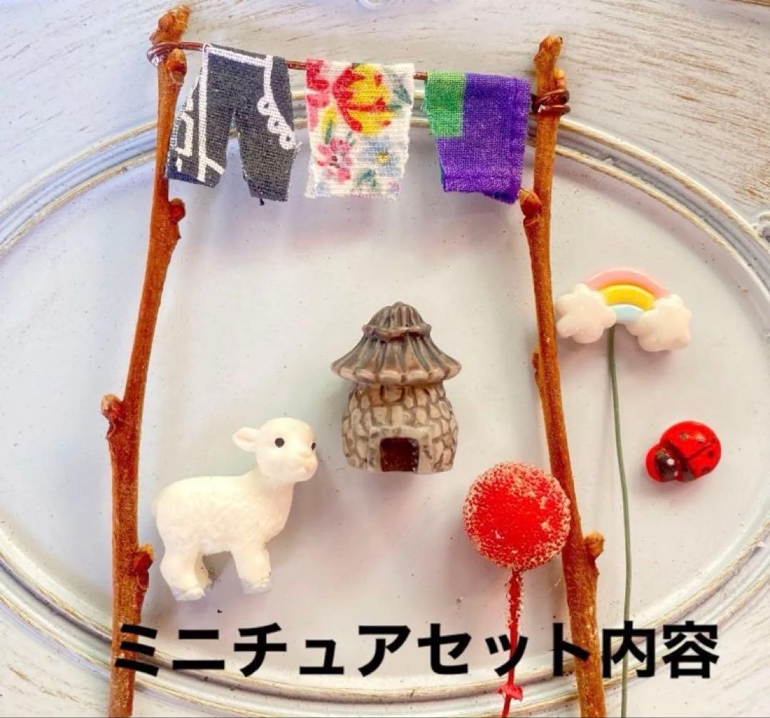 ⑤箱庭セットキット◇多肉寄せ植え - メルカリ