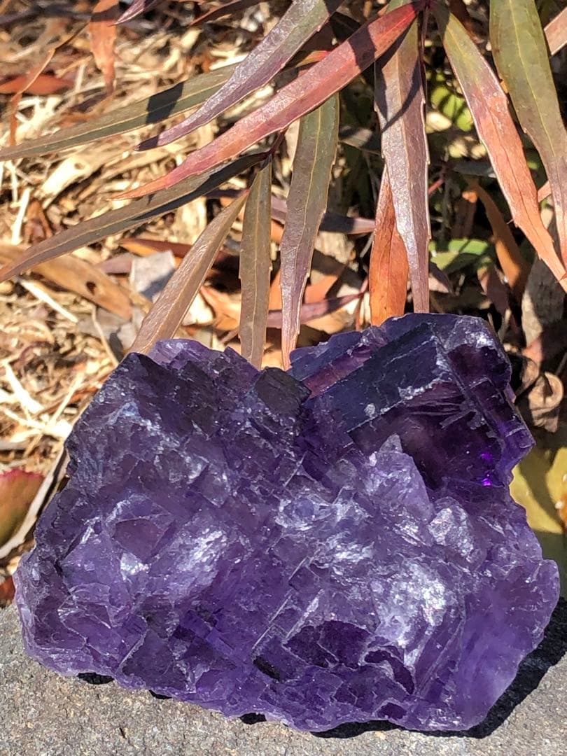 ✳新疆産　レア　288g パープル　フローライト　蛍石　ラフストーン　クラスター