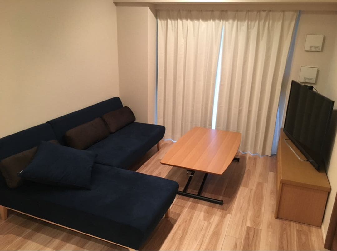 ⭐︎4月中期間限定⭐︎【フランネルソファ】