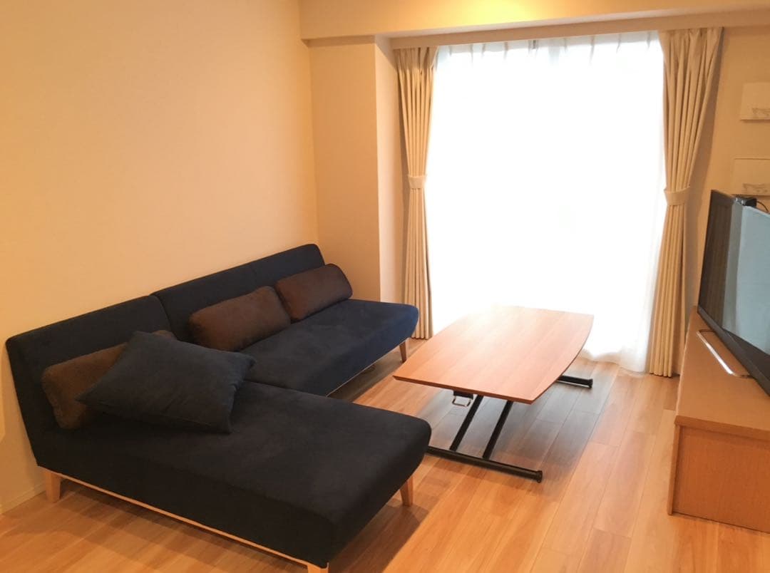 ⭐︎4月中期間限定⭐︎【フランネルソファ】