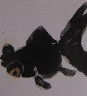 片岡鶴太郎、【出目金】、希少な額装用画集より、美品、日本人画家、新品額装付