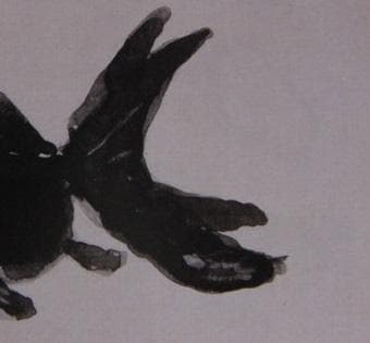 片岡鶴太郎、【出目金】、希少な額装用画集より、美品、日本人画家、新品額装付