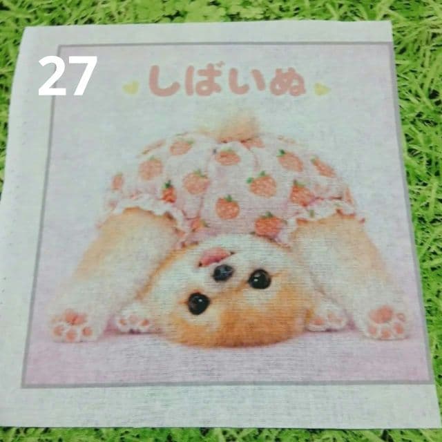 クロム様パネル生地ご確認ページ④