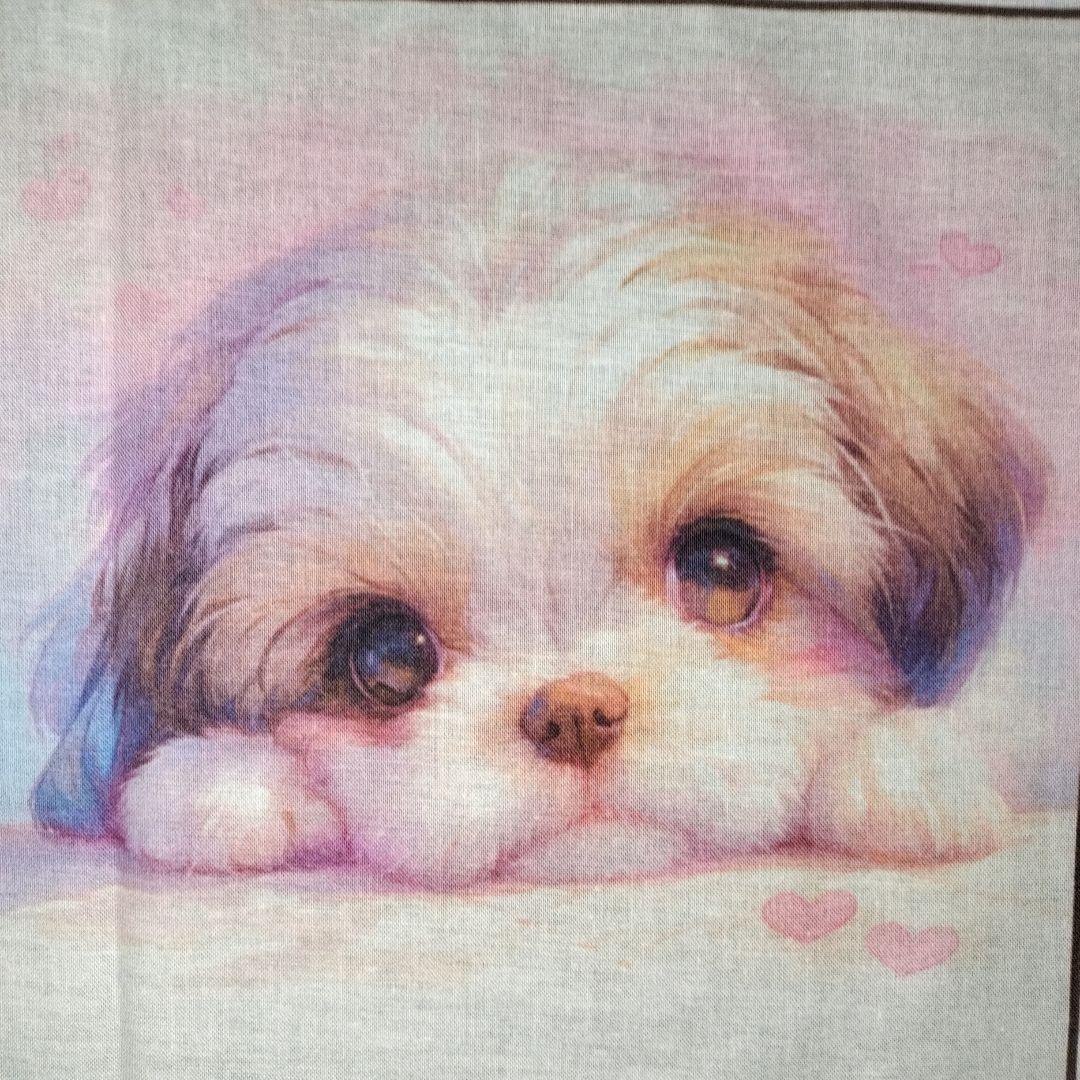 ♡ポメちゃんと可愛いワンコ達のオーダーページです✨