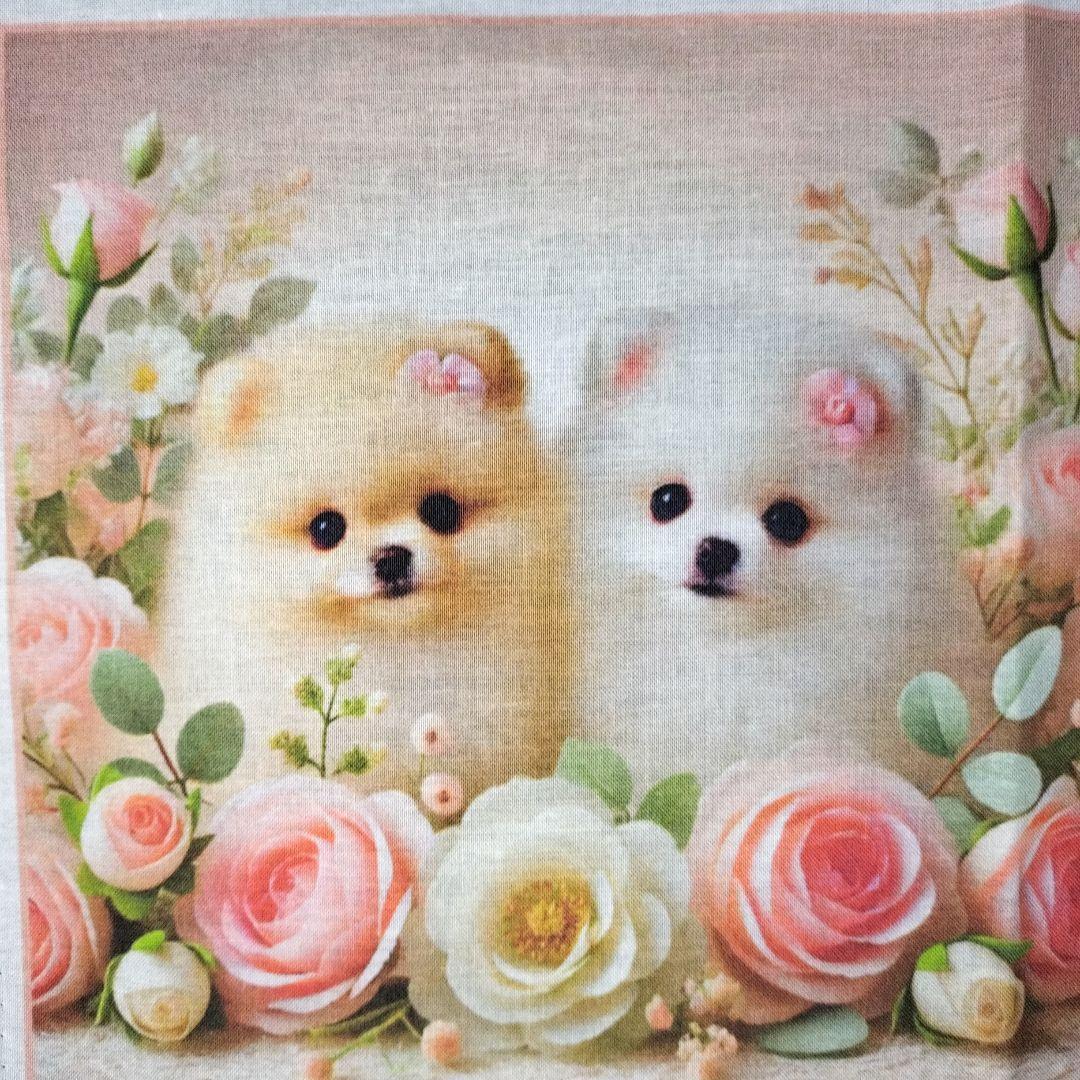 ♡ポメちゃんと可愛いワンコ達のオーダーページです✨