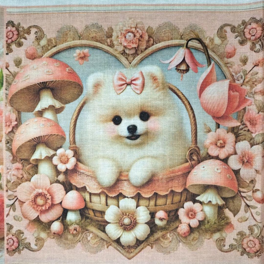 ♡ポメちゃんと可愛いワンコ達のオーダーページです✨