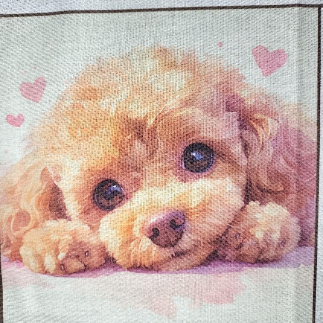 ♡ポメちゃんと可愛いワンコ達のオーダーページです✨